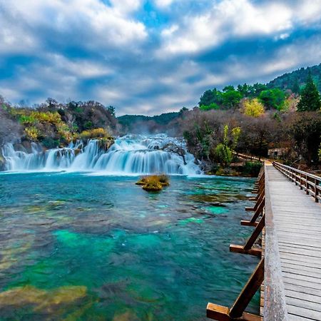 Готель House Mellifera Razvode Екстер'єр фото