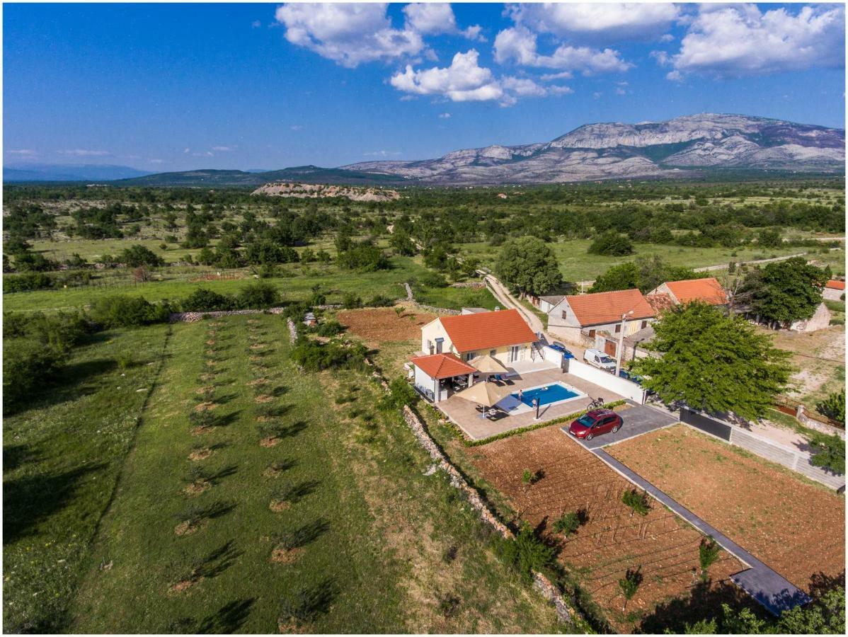Готель House Mellifera Razvode Екстер'єр фото