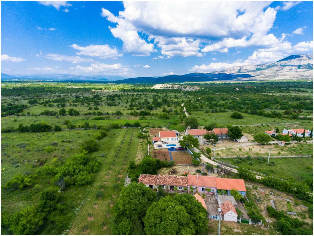 Готель House Mellifera Razvode Екстер'єр фото