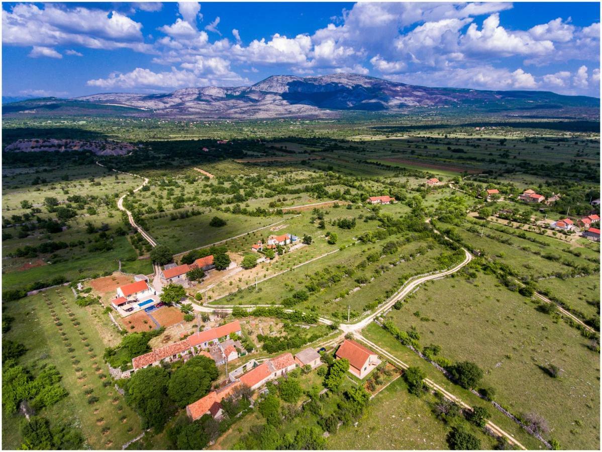 Готель House Mellifera Razvode Екстер'єр фото