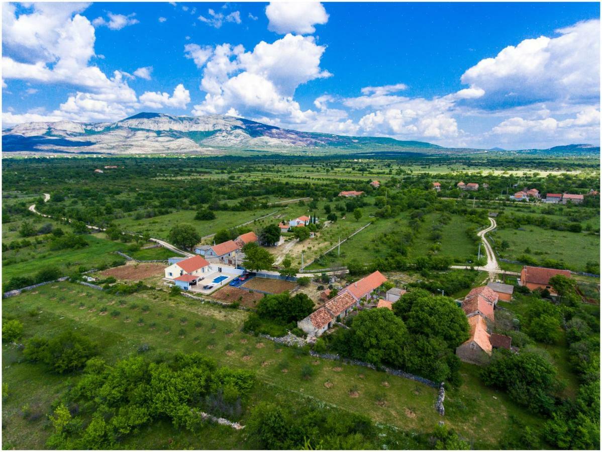 Готель House Mellifera Razvode Екстер'єр фото